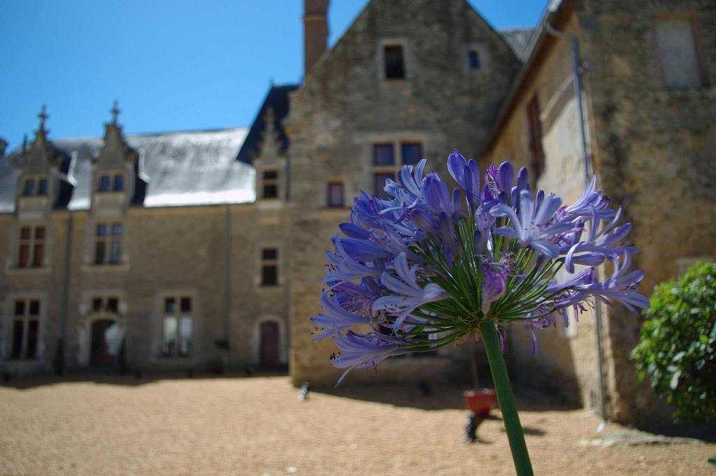 Chateau De Cheronne Bed and Breakfast Tuffé Eksteriør billede